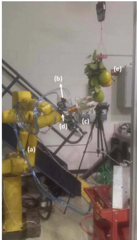 Figure 5  Fruit picking operation scheme 