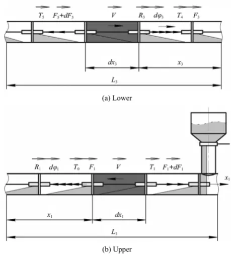 Figure 2  Distribution of forces acting on the conditionally 