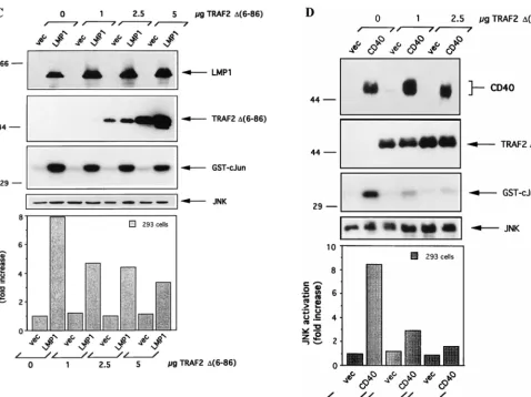 FIG. 4—Continued.
