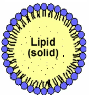 Fig.4 Structure of SLN 