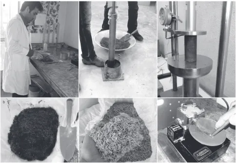 Table 3 Chemical characteristics of the Tarom husk ash (* 10-6)