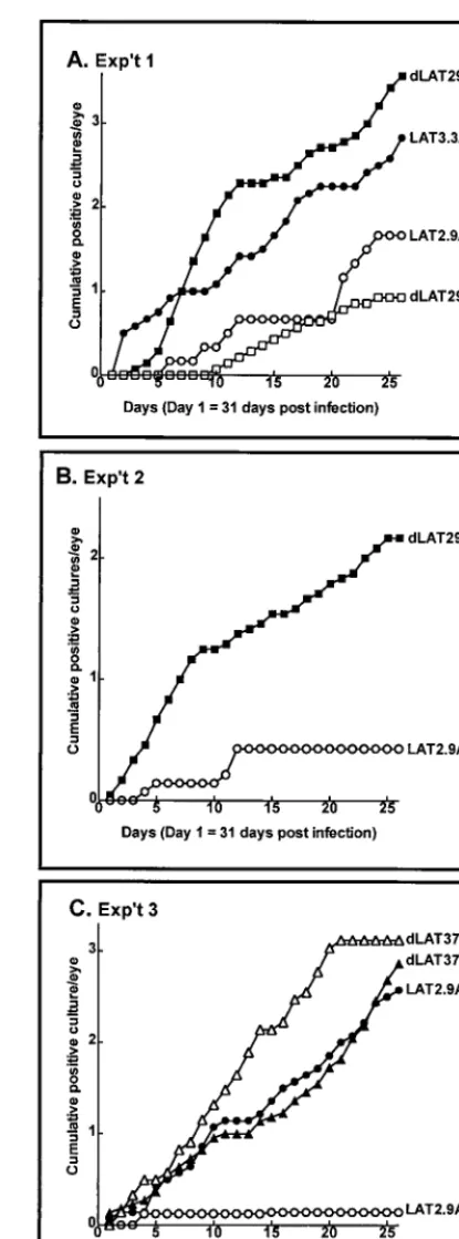 FIG. 4. Spontaneous reactivation of LAT2.9A. Each panel shows an inde-pendent experiment, each of which was performed at a different time