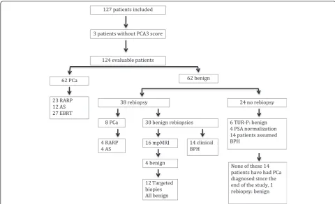 Fig. 1 Flowchart of the 127 included patients in this study. The numbers indicate the number of patients in each group