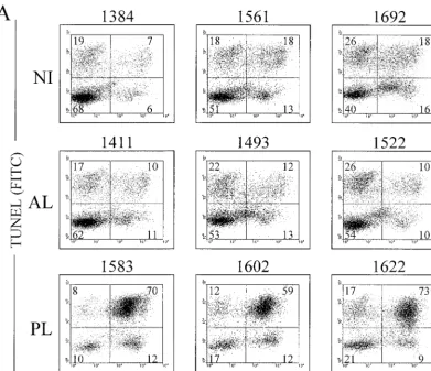 FIG. 3. Detection of apoptosis in B lymphocytes from BLV-infected PL (no. 1583, 1602, and 1622), BLV-infected AL (no