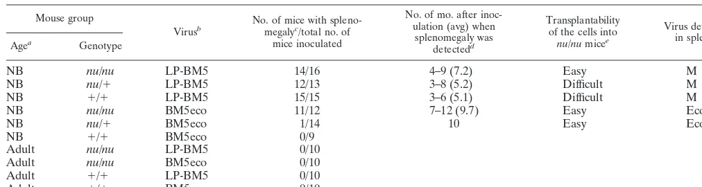 TABLE 1. Susceptibility of BALB/c nude mice to MAIDS virus