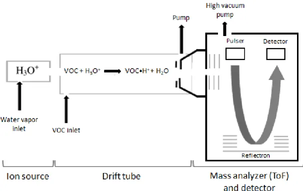 Figure  4.  Proton  transfer  reaction-time  of  flight  mass  spectrometer  (PTR-ToF-MS)  scheme