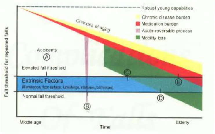 FIGURE 1. FACTORS THAT CONTRIBUTE TO THE RISK FALLS IN 