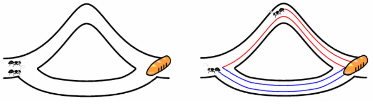 Figure 2: Path selection with ants using pheromones 