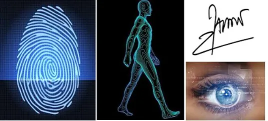 Fig. 1. Different types of biometric modalities 