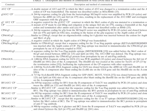 TABLE 1. Description and method of construction of viral DNAs used in this study