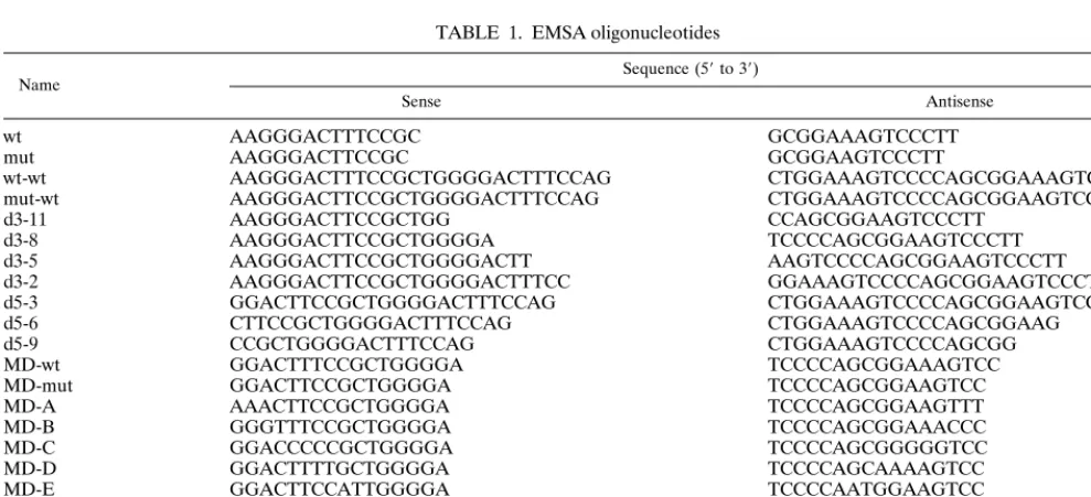 FIG. 1. Scheme of the HIV-1 LTR promoter-enhancer. The NF-�binding sites are indicated by boxes and circles, respectively