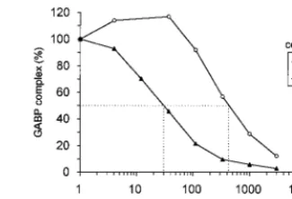 FIG. 5. The variant enhancer binds the GABP transcription factor. (A)EMSA was performed with probes wt-wt (lane 1) and mut-wt (lanes 2 to 6)