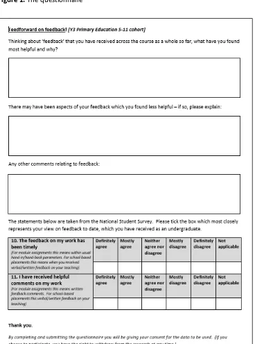 Figure 1: The questionnaire 