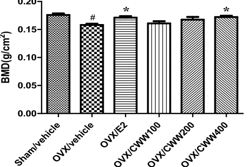 Table 1. Comparison of body weight and uterine index before and after 24-week treatment 