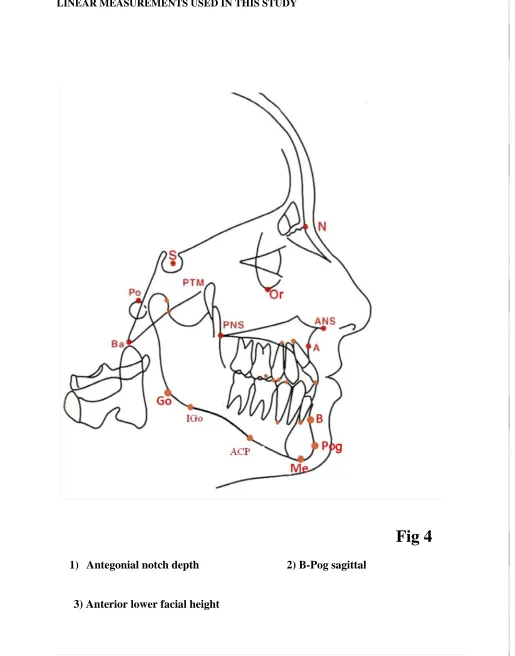 Fig 4                                                                                                                                                  