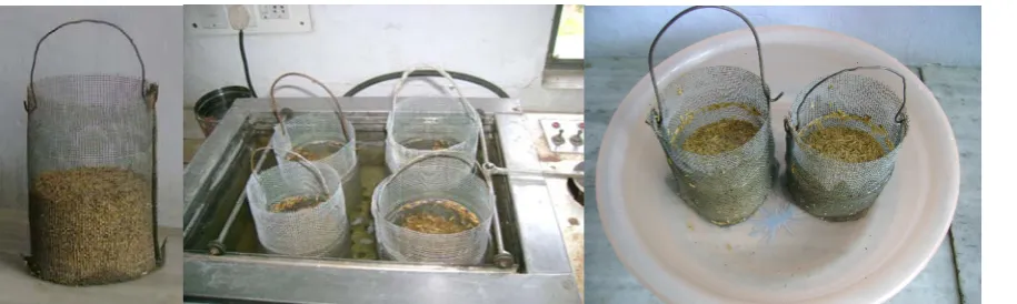 Figure 1  The laboratory arrangement for soaking experiments 