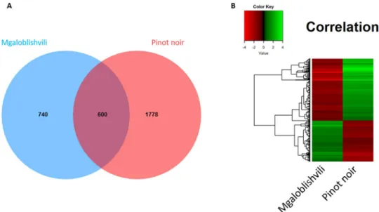 Table 1.  Overview of differentially expressed genes (nr. and %) detected in Mgaloblishvili, Pinot noir and  Bianca at three different time points after leaf inoculation with P