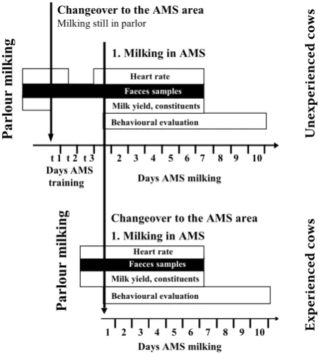 Figure 1. Experimental protocol: In unexperienced cow (UC) a training period of 3 d was applied, whereas in experienced cows (EC) the training period was omit-ted