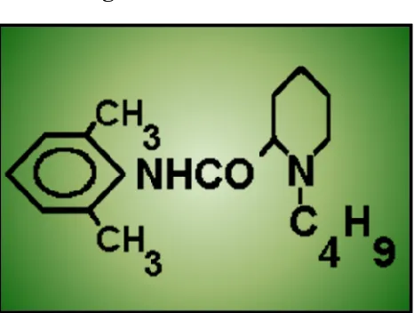 Fig. 6  BUPIVACAINE 