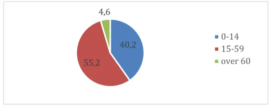 Fig. 1. The Palestinian population segmentation 2016 