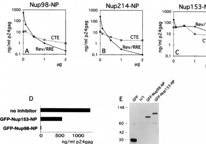 FIG. 4. NP domains of Nup98 and Nup214 speciﬁcally affect the function of Rev. (A to C) Human 293 cells were transfected with 1 �cotransfected with 1expression plasmids