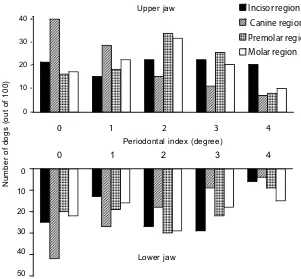 Figure 4. Prevalence and localization of periodontal disease in dogs (age group 9–11 years) assessed by a per-iodontal indexing system