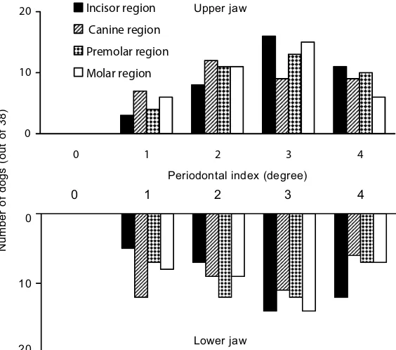 Figure 5. Prevalence and localization of periodontal disease in dogs (age group 12–13 years) assessed by a periodontal indexing system