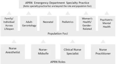 Figure 2 APRN consensus model.