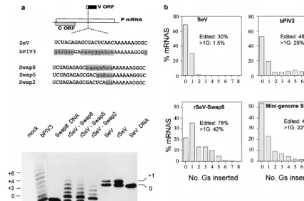 FIG. 5. Amino acid substitutions in the mutant virus P proteins. The nucle-otide sequence of the P-gene P ORF (positions 1034 to 1054) is shown in groups