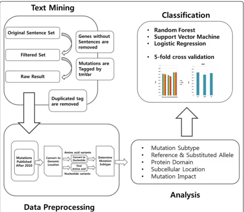 Figure 1 The flow chart of this study. An overview of the analysis of LoF and GoF features is given
