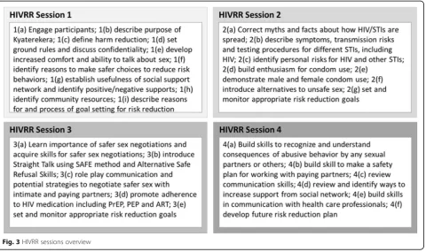 Fig. 3 HIVRR sessions overview