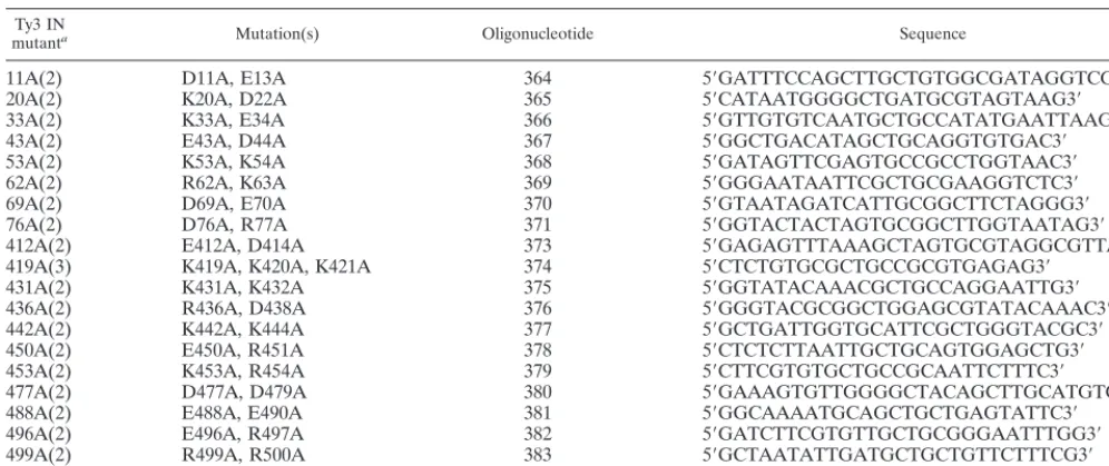TABLE 1. Oligonucleotides used in charged-to-alanine scanning mutagenesis of Ty3 IN