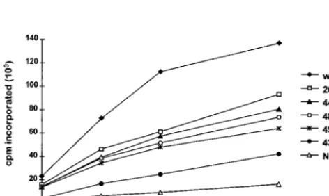 FIG. 6. Immunoblot analysis of VLP proteins from cells expressing Ty3 IN mutants. VLPs were isolated from either AGY-9 or yTM443 cells expressing wild-typeTy3 (WT) or IN mutant Ty3, or fractions at the position of VLPs were taken from nontransformed cells 