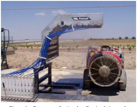 Figure 1  Patternator for “tendone” trained vineyards 