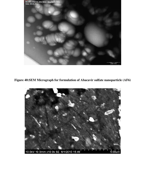 Figure 39:TEM Micrograph for formulation of Abacavir sulfate nanoparticle (AF6) 