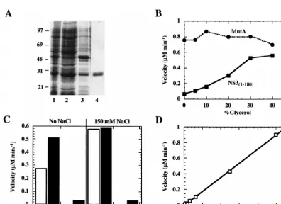 FIG. 11. Biochemical characterization of the MutA protease. (A) SDS-PAGE analysis of different puriﬁcation stages of the MutA protease expressed in E
