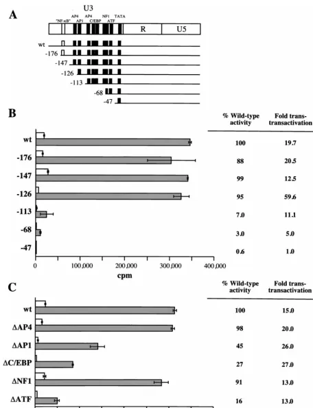 FIG. 6. Deletion of the LTR sequences required for transactivation. (A) Deletion mutants of the FIV LTR promoter