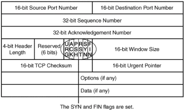 Fig. 1. TCP Header with SYN and FIN Flags set. 