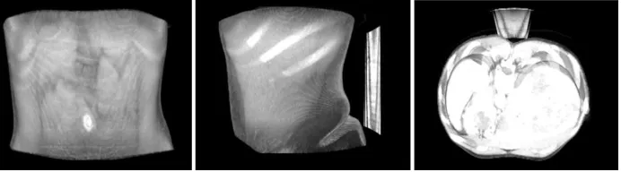 Fig. 5.  (left) Same 3D object, 0.03 opacity, no clipping, front facing, (center) rotated 90 de-grees on the Y-axis and (right) rotated 90 degrees on X-axis