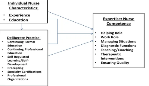 Figure 2. Deliberate Practice in Nursing Expertise Model (DPNE)