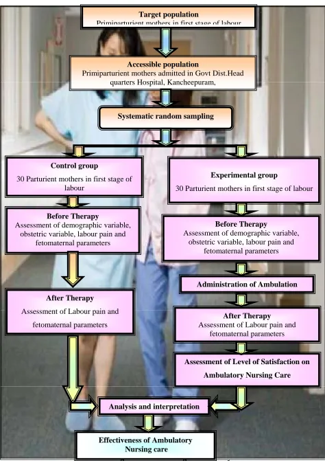 Fig.2. Schematic design of the study  