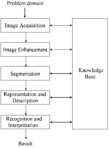 Figure 1. Stages of image processing system. 