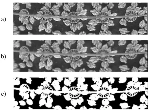 Figure 2. Intermediate images during processing. In sequence: a) resized image, b) filtered image and c) binarized image