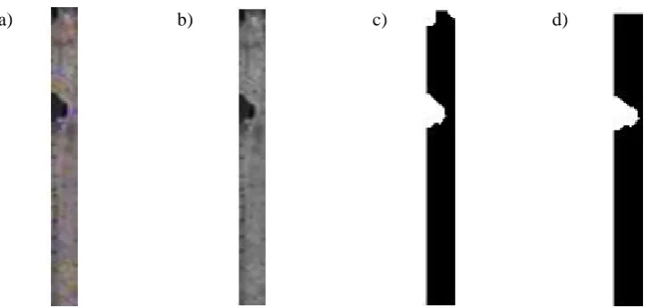 Figure 6. Image of an isolated feeder (a), represented in gray scale (b), in binary image with presence of noise (c) and, image ready for counting objects (d)
