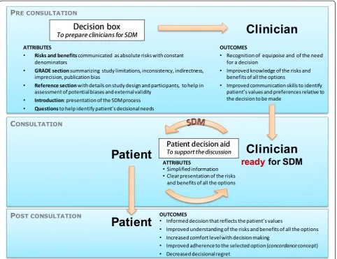 Table 1 Clinical topics covered by each decision box and their order of delivery