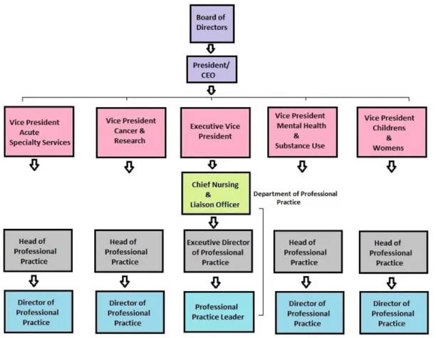 Figure 1. Modified Organization Structure. Adapted from “Organization M Org Chart [PDF]” by  Organization M, 2017