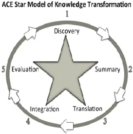 Figure 2: ACE Star Model 