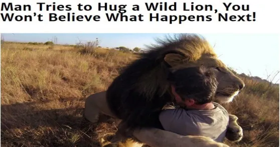 Fig. 1. An example of a Clickbait 