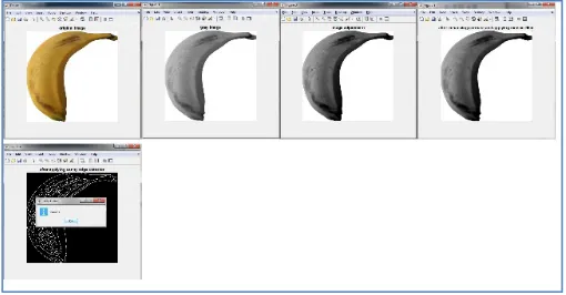 Fig. 14. Sample of the pictures took by volunteers 