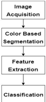 Fig. 18. steps of differentiating between fresh and rotten fruits 